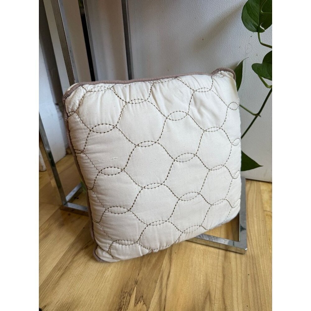 13 X 12.5 throw pillow